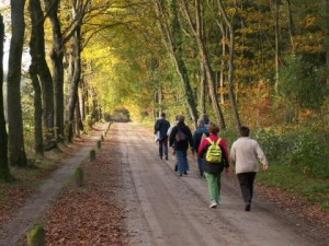 Wandelen