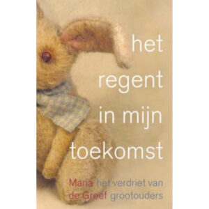 Het regent in mijn toekomst