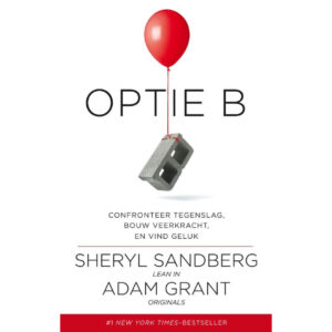 Sheryl Sandberg, Optie B