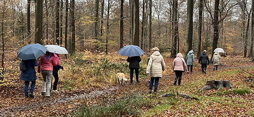 Wandeling Rouwgroep Breda